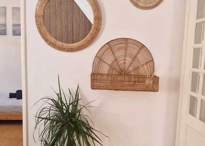 Casa Pisa Flores - Da