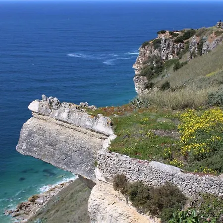 Casa Pisa Flores - Da Nyaraló